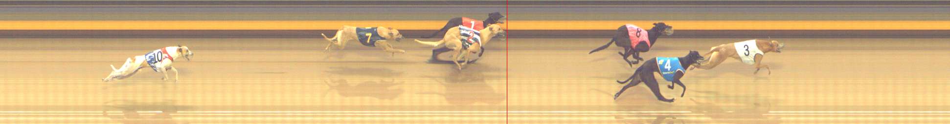 Photo finish for Shepparton Race 13