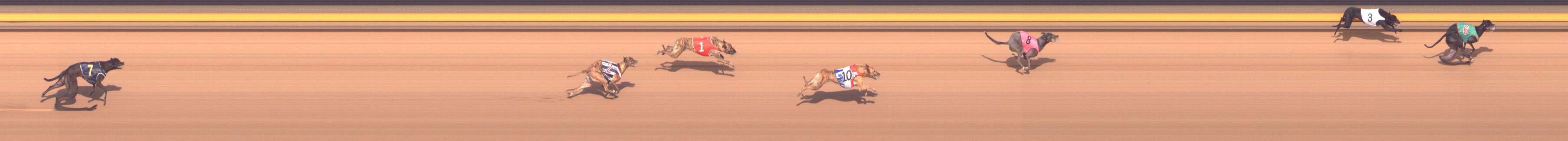 Photo finish for Shepparton Race 2