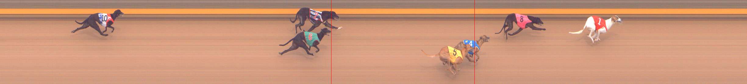 Photo finish for Shepparton Race 3
