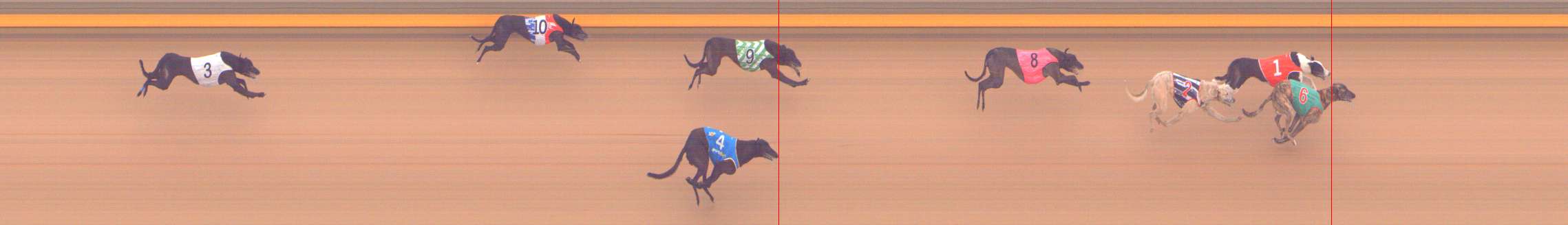 Photo finish for Shepparton Race 5