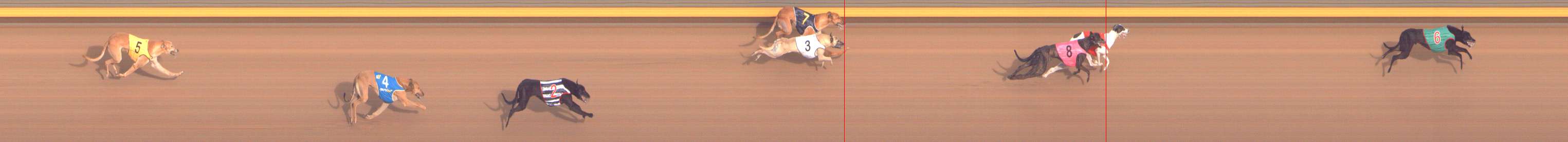 Photo finish for Shepparton Race 7