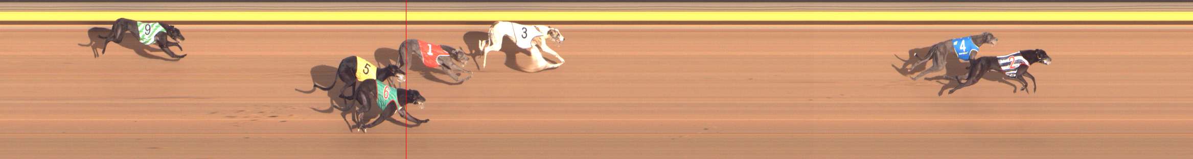 Photo finish for Shepparton Race 8