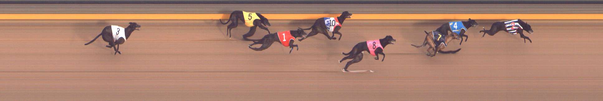 Photo finish for Shepparton Race 10