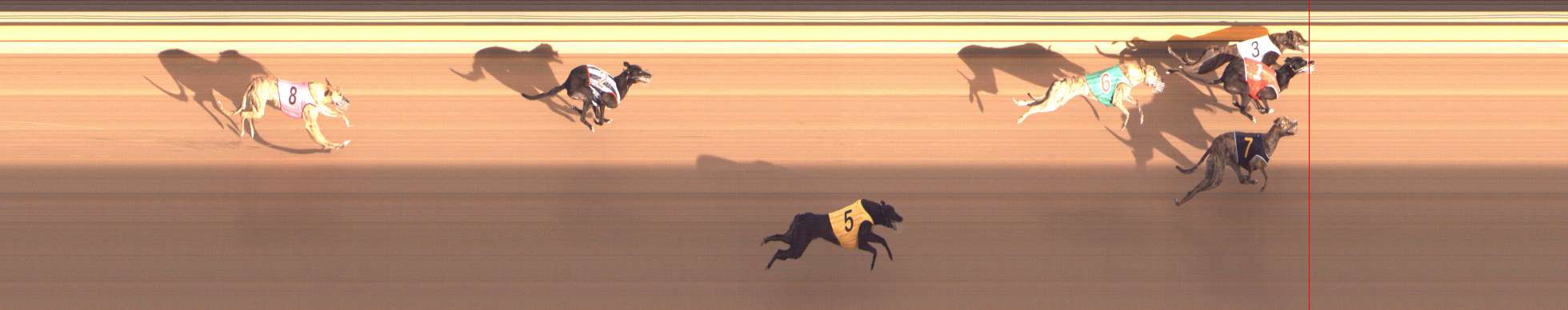 Photo finish for Shepparton Race 11