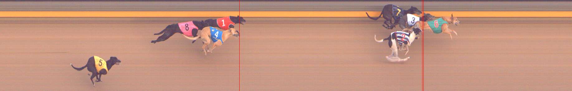 Photo finish for Shepparton Race 12