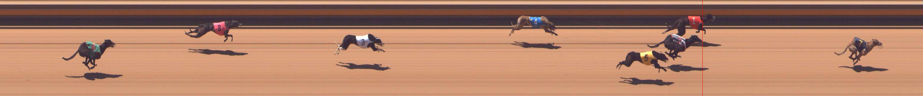 Photo finish for Shepparton Race 2
