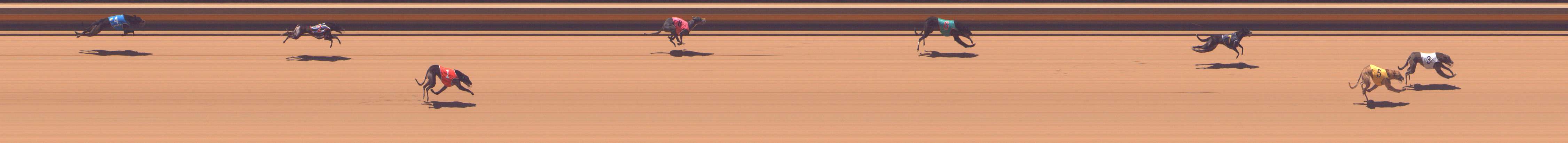 Photo finish for Shepparton Race 3