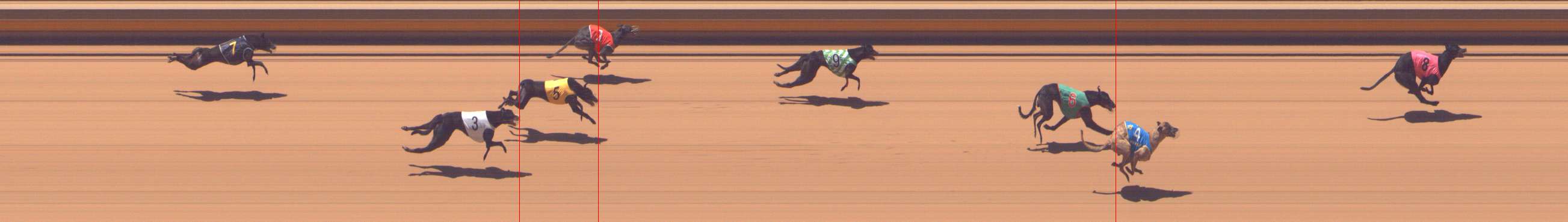 Photo finish for Shepparton Race 4
