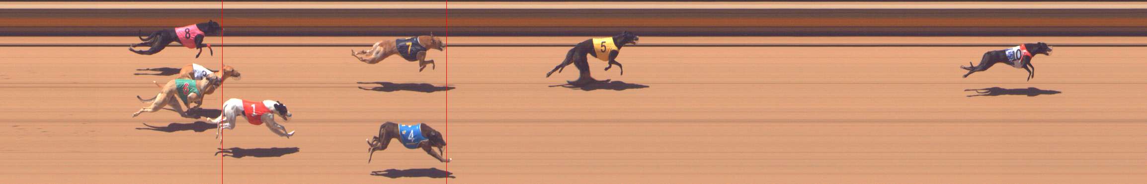 Photo finish for Shepparton Race 5