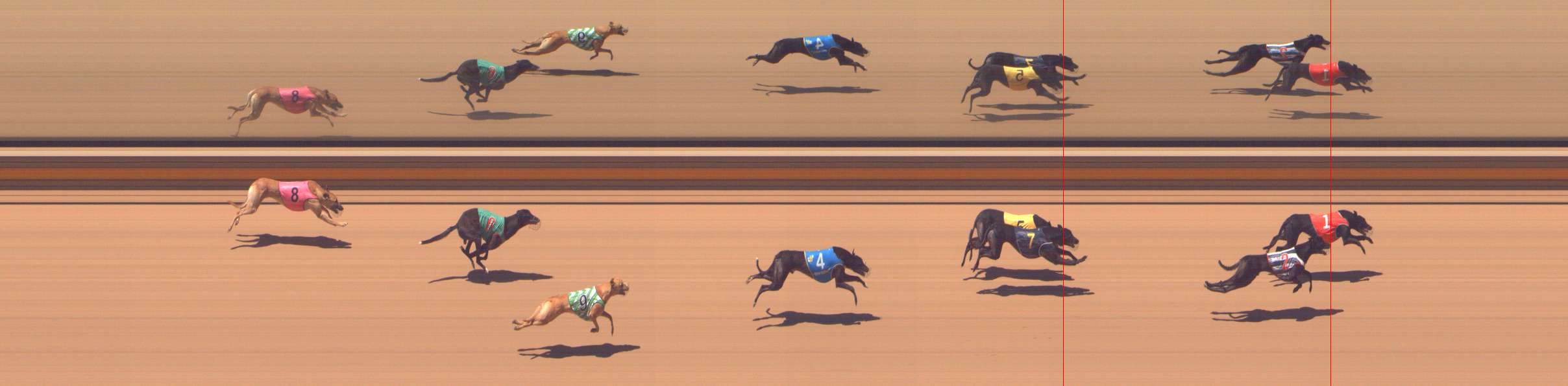 Photo finish for Shepparton Race 6