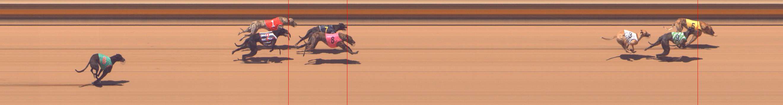 Photo finish for Shepparton Race 7