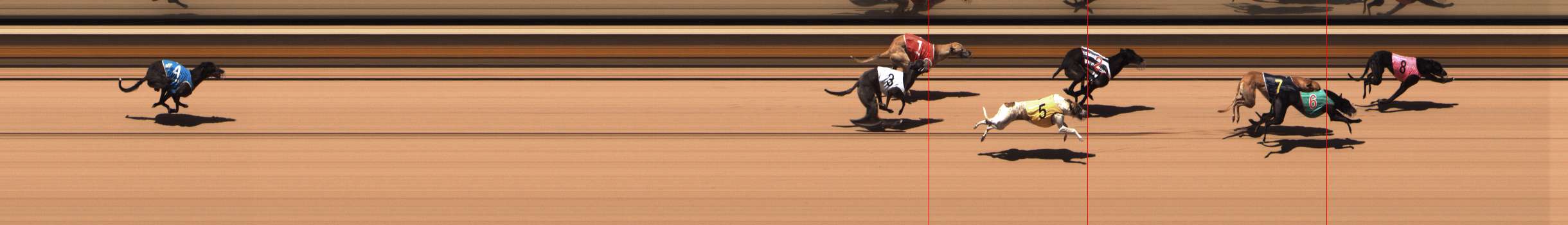 Photo finish for Shepparton Race 8