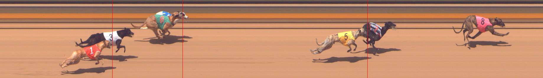 Photo finish for Shepparton Race 9