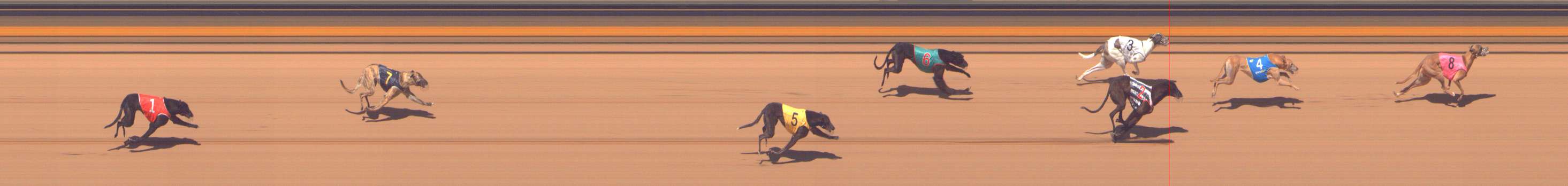 Photo finish for Shepparton Race 10