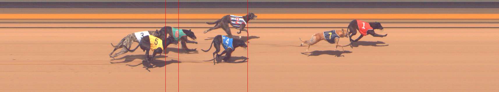 Photo finish for Shepparton Race 11