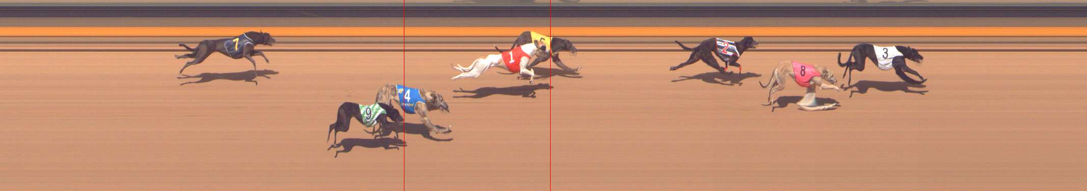 Photo finish for Shepparton Race 12