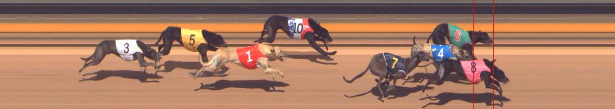 Photo finish for Shepparton Race 13