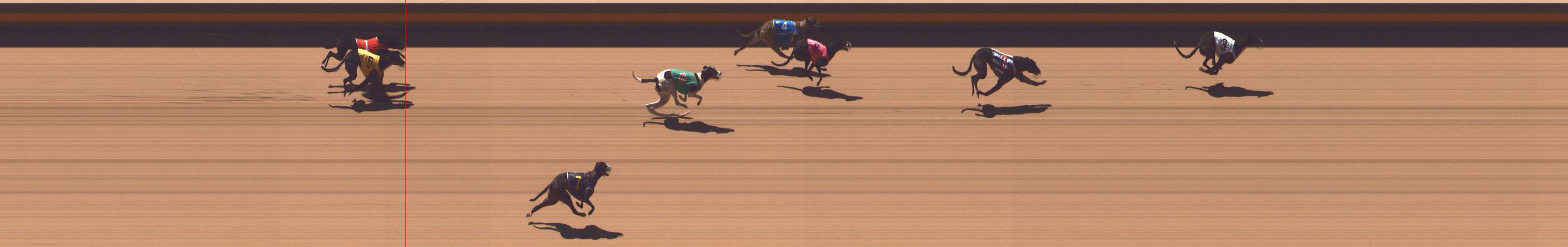 Photo finish for Shepparton Race 2