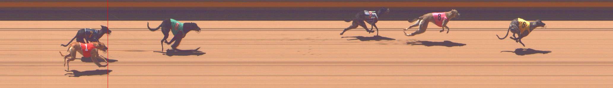 Photo finish for Shepparton Race 3