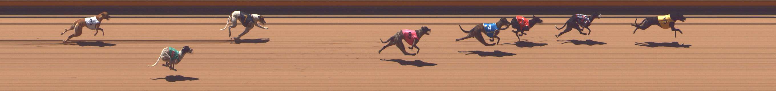 Photo finish for Shepparton Race 4