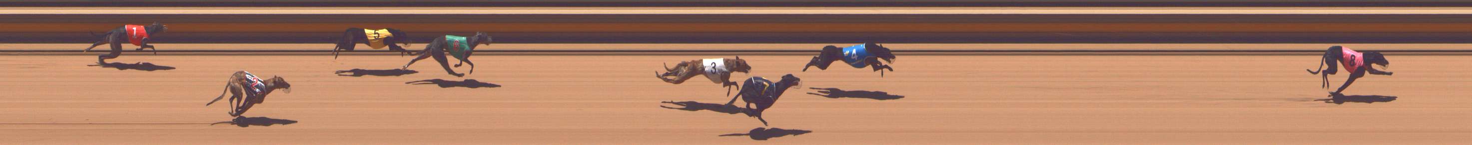 Photo finish for Shepparton Race 5