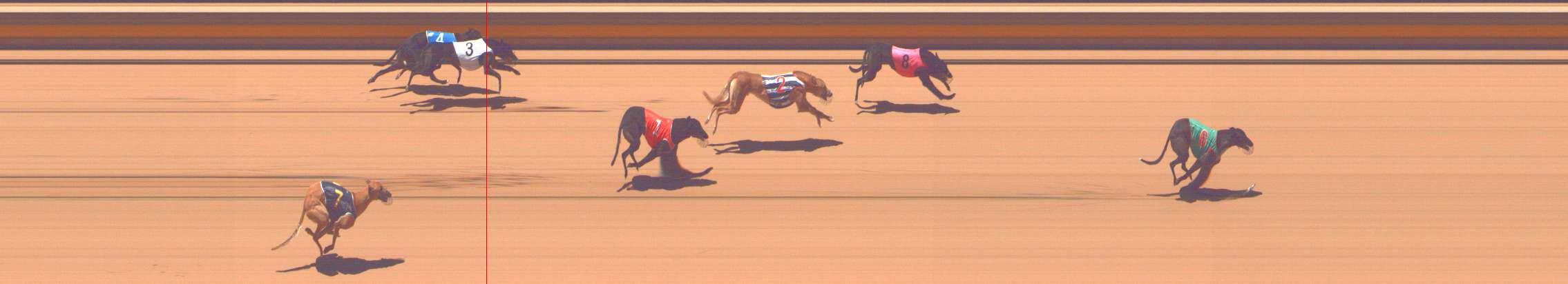 Photo finish for Shepparton Race 6