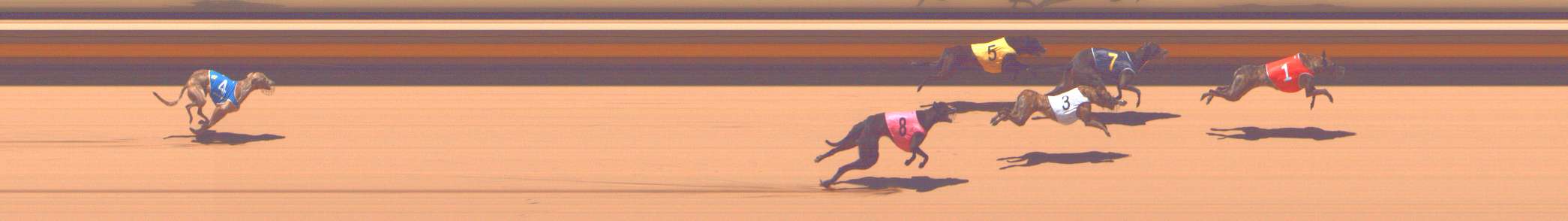 Photo finish for Shepparton Race 7