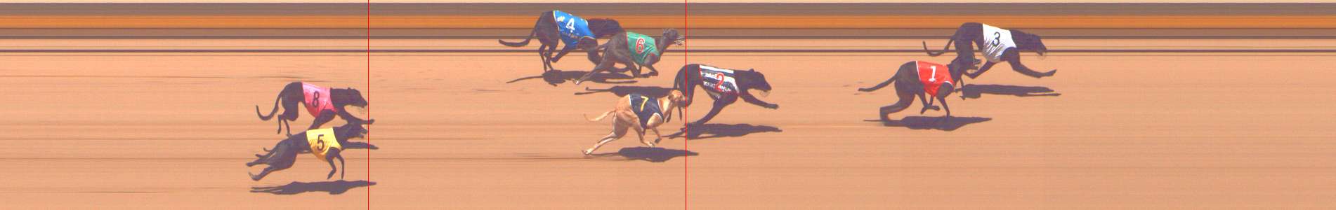 Photo finish for Shepparton Race 9