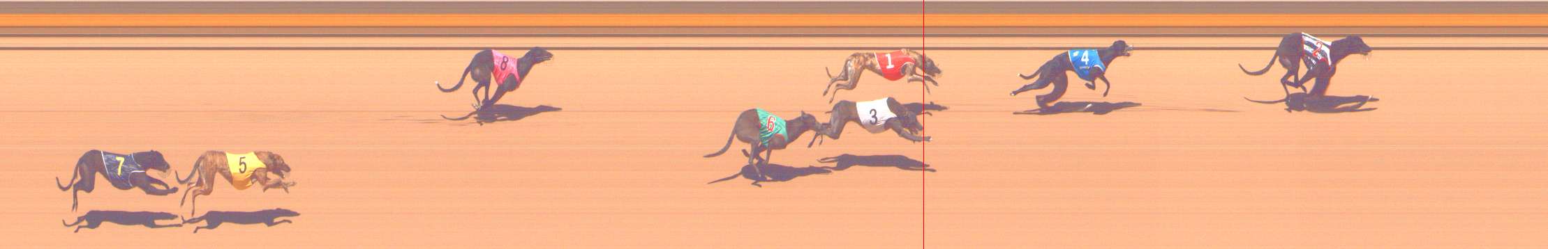 Photo finish for Shepparton Race 10