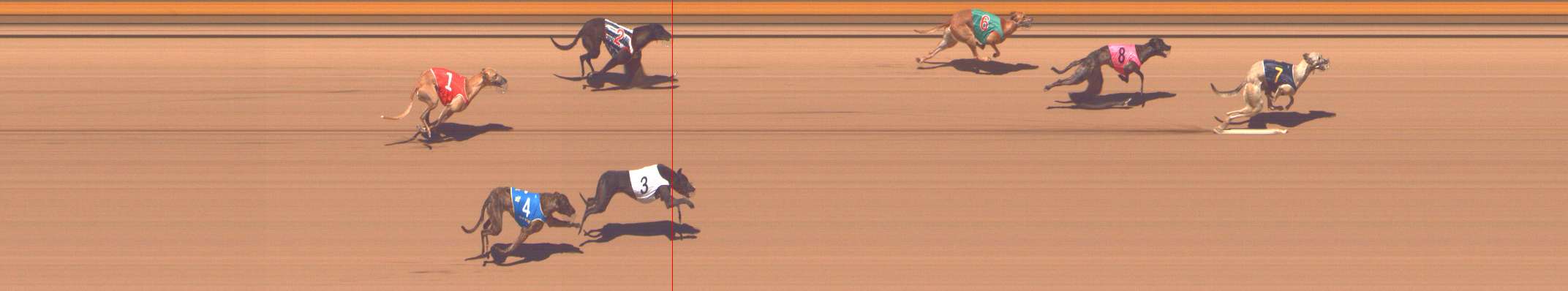 Photo finish for Shepparton Race 11