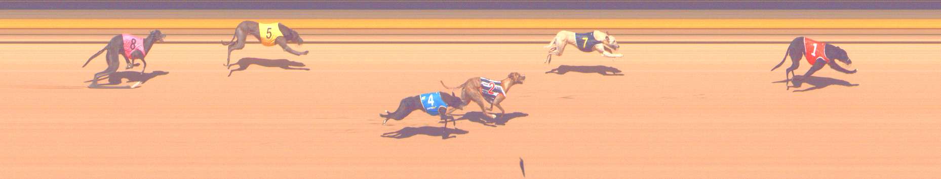 Photo finish for Shepparton Race 12