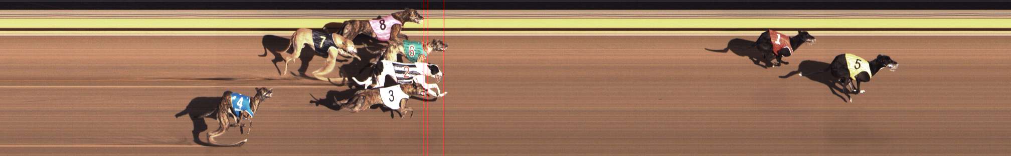 Photo finish for Shepparton Race 2