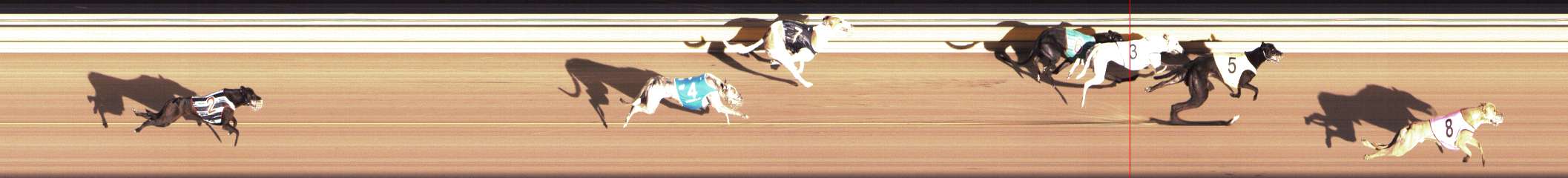 Photo finish for Shepparton Race 4