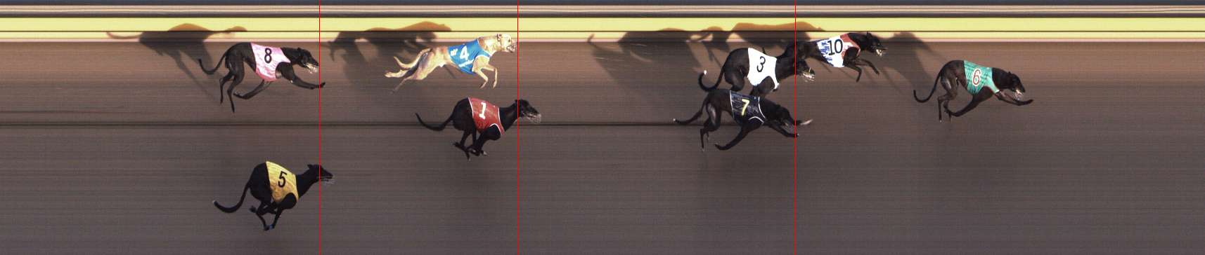 Photo finish for Shepparton Race 5