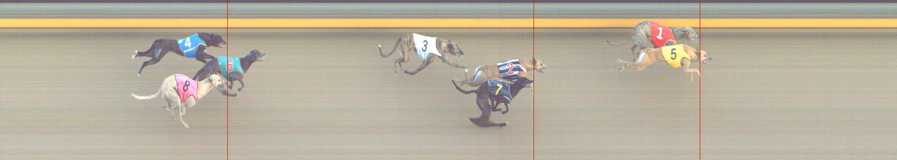 Photo finish for Shepparton Race 7