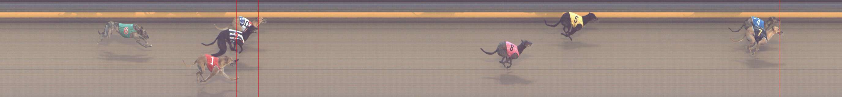 Photo finish for Shepparton Race 8