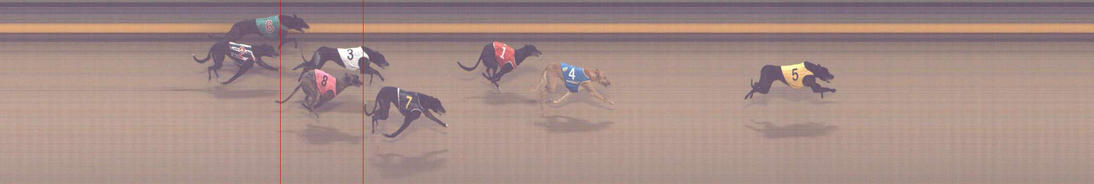 Photo finish for Shepparton Race 9