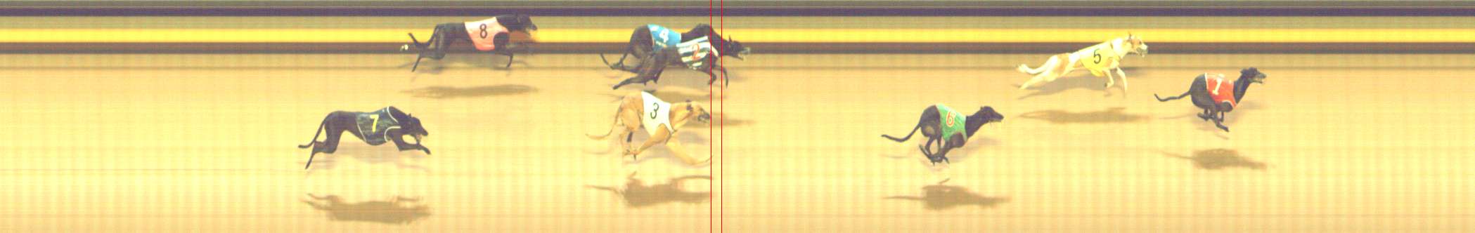 Photo finish for Shepparton Race 10