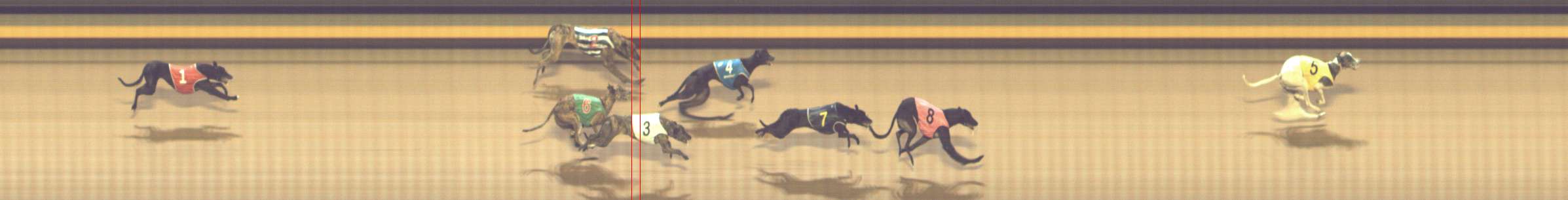 Photo finish for Shepparton Race 11