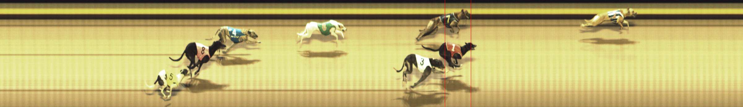 Photo finish for Shepparton Race 12