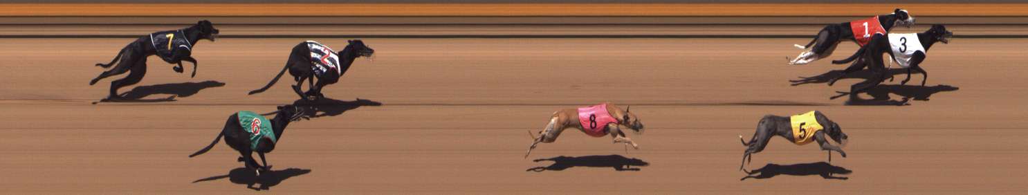 Photo finish for Shepparton Race 2