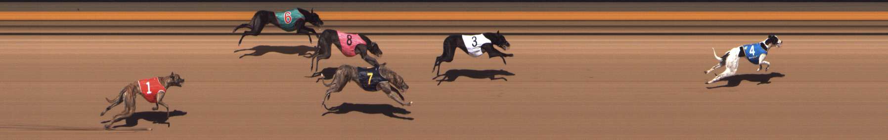 Photo finish for Shepparton Race 3