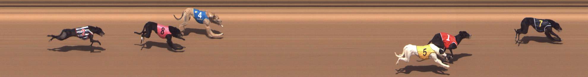 Photo finish for Shepparton Race 4
