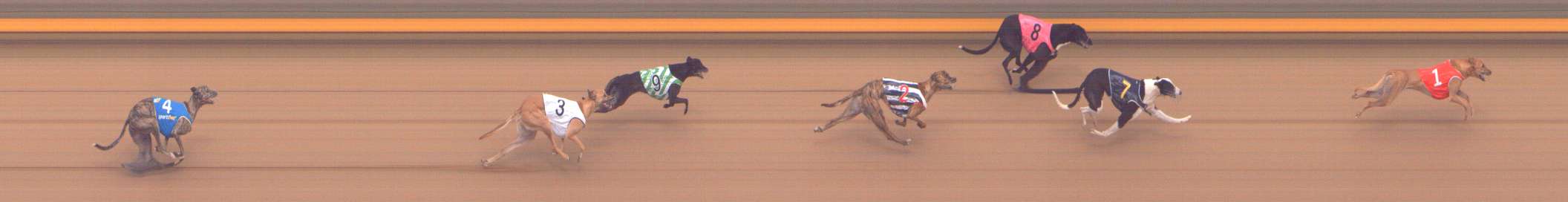 Photo finish for Shepparton Race 6