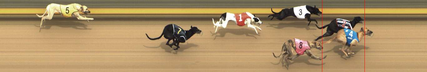 Photo finish for Shepparton Race 7