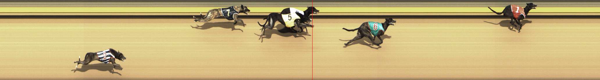 Photo finish for Shepparton Race 8