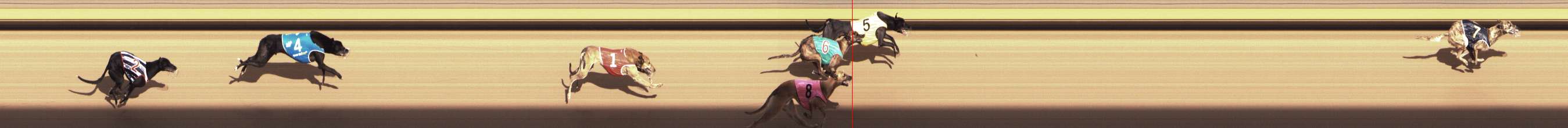 Photo finish for Shepparton Race 9