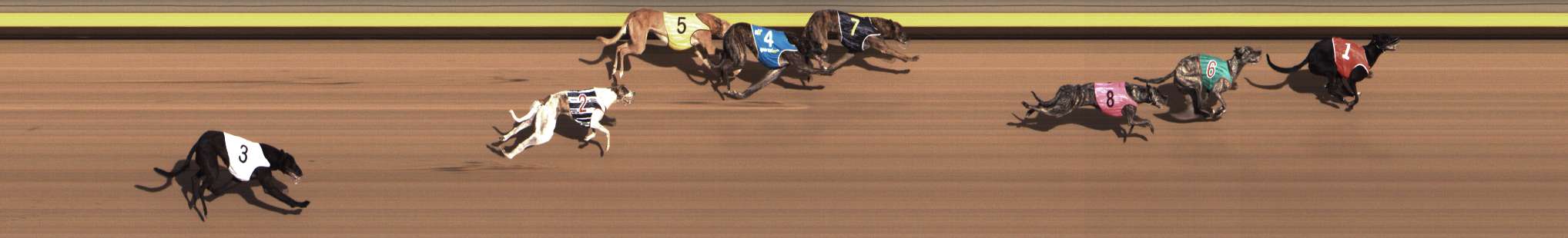 Photo finish for Shepparton Race 10