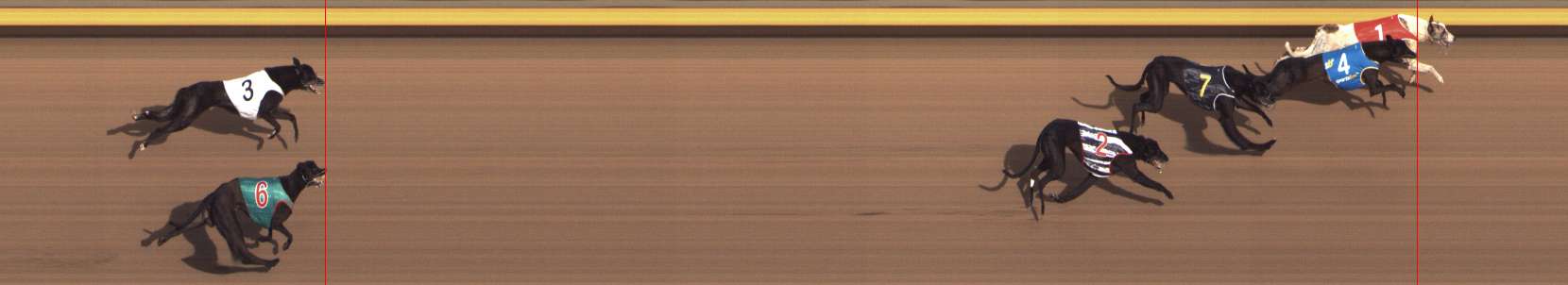 Photo finish for Shepparton Race 11