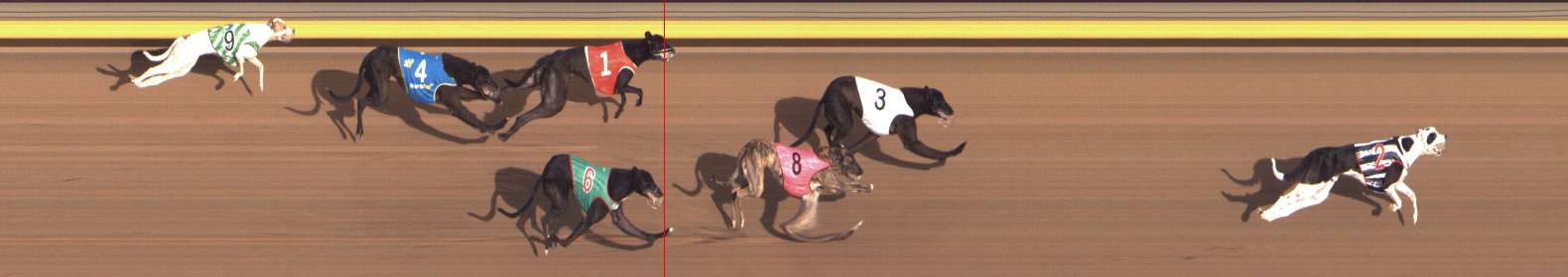 Photo finish for Shepparton Race 12